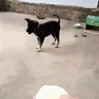 gif搞笑趣图:最近也不知道怎么了?我害怕啊!不敢去医院!