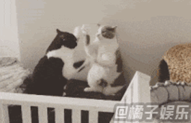 【gif】这是一篇无聊的文章,请在无聊的时候观看