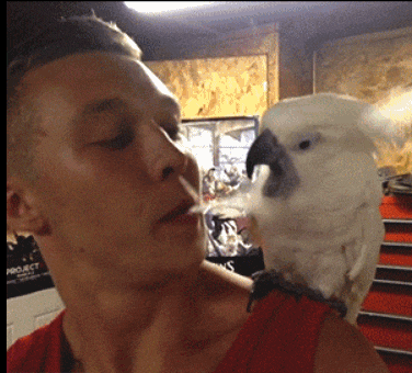 爆笑gif: 带孩子没法跳广场怎么办?这根本不是问题!