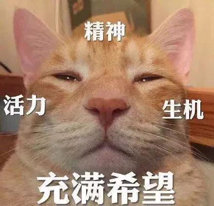 景甜算不算是人生的大赢家?