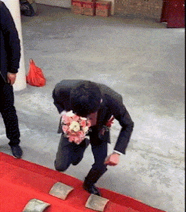 搞笑gif:给孩子买的衣服小了,没办法只能给猫咪穿了,没想到还挺合身的