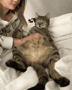 搞笑gif: 这恐怕是我见过最