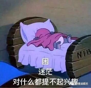 景甜算不算是人生的大赢家?