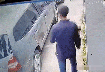 搞笑gif图20张:我说我的车是被狗拆了的保险公司回信吗?
