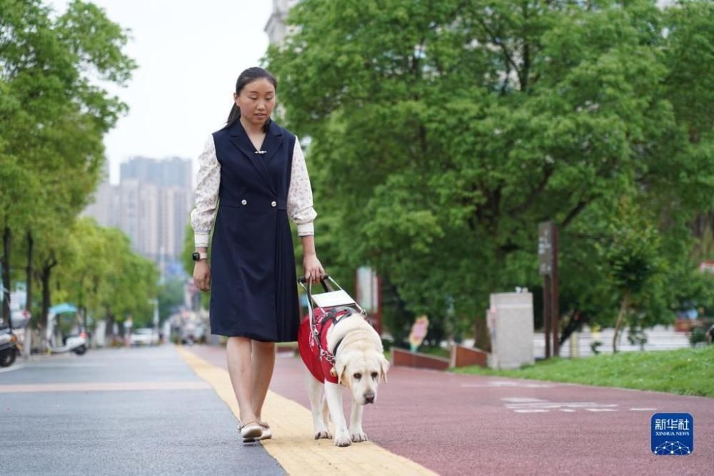 奔跑吧，贾君婷仙