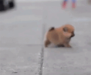 爆笑gif图:妹子另外的一只脚去哪儿有谁告诉我.