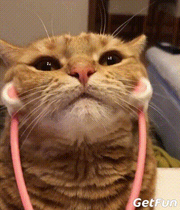 350_408gif 动态图 动图