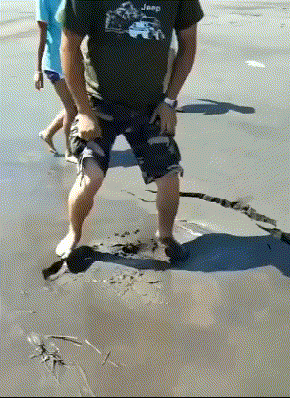 我也好想去试一试呀!
