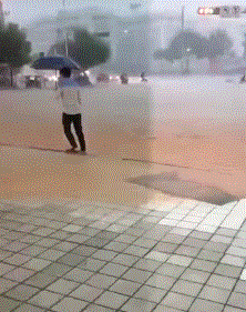 搞笑gif: 王者的风范,青铜的操作