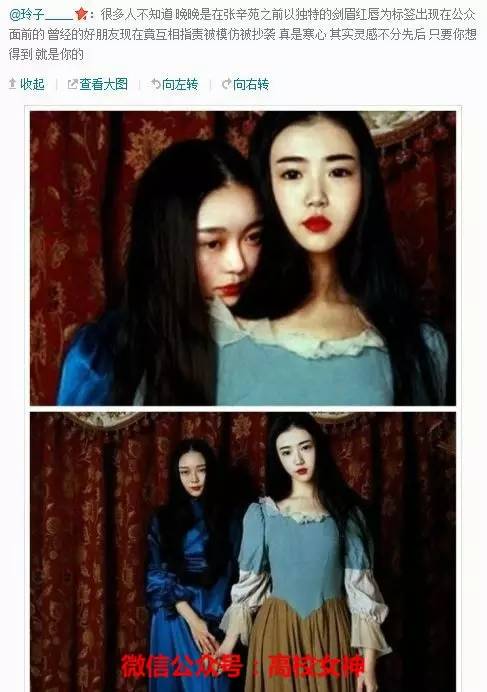 辛苑和豆瓣上的另一女神"晚晚"雷婉莹一度是闺蜜.
