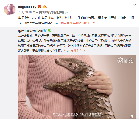 angelababy连续三年为穿山甲发声 呼吁没有买卖就没有