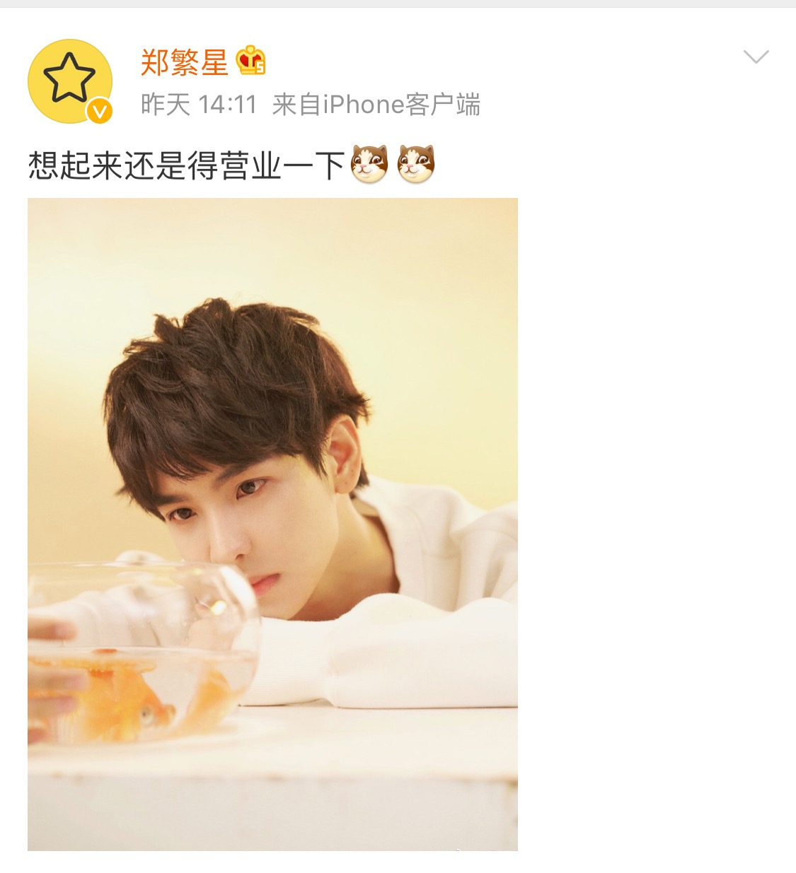 郑繁星微博晒照闪现营业奶萌少年元气十足