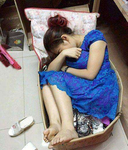 我的女同事,中午就在纸箱里面睡觉,看着好心疼