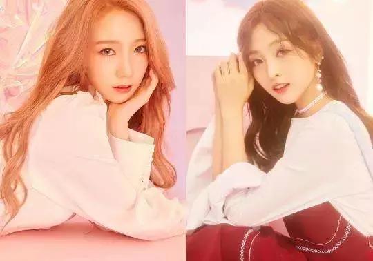 饭圈ATM硬核养成,乐华不走花路走“钱途”