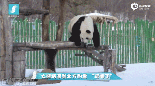 【gif】