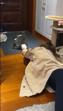 爆笑gif图片:我最亲爱的人结婚了,我不能让眼泪流下来