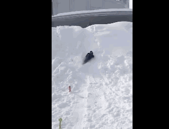 邓超被雪球直接糊脸倒地!明星私下跨年都这么有趣?