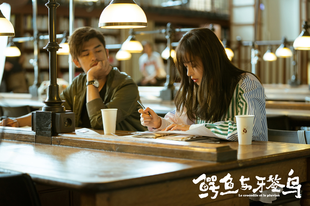 《鳄鱼与牙签鸟》迎高甜时刻 陈柏霖"霸气索吻"表白张天爱