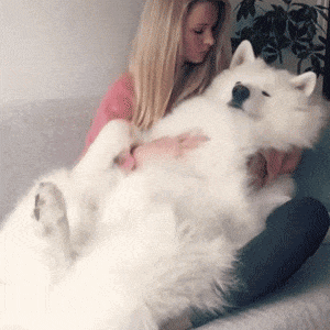 搞笑动图gif: 妹子,看你骨骼惊奇,你是练什么功夫的呢