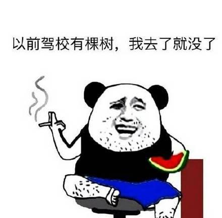 死记硬背考下驾照回忆那些我们学驾照的搞笑经历