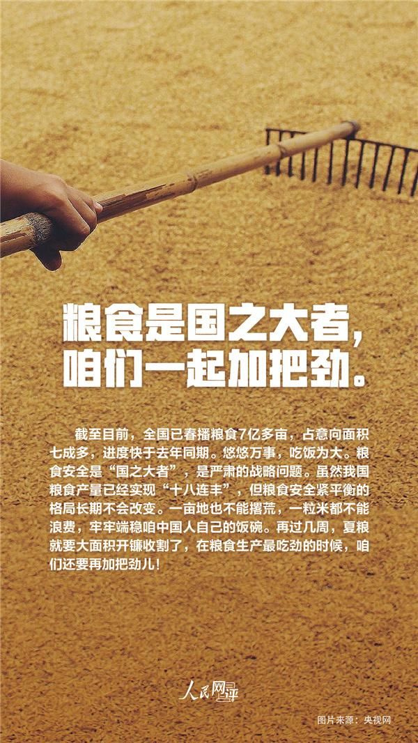 人民热评：夏收夏种农事忙，颗粒归仓稳当当