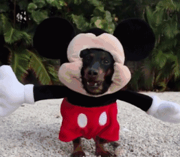 搞笑gif让你偷吃我兄弟有种别跑啊