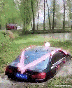 这个婚礼,新郎新娘都会终生难忘 ,真的是坠入爱河了