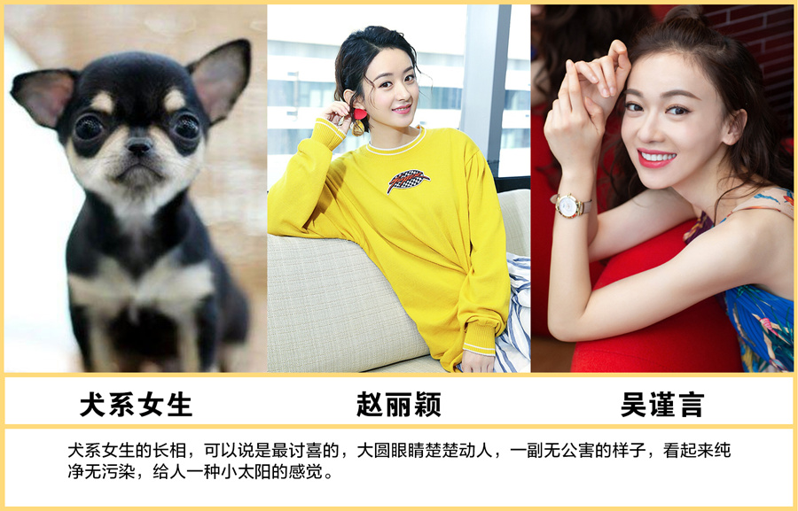 鲶鱼系脸是高级脸818娱乐圈中这些动物系脸女明星