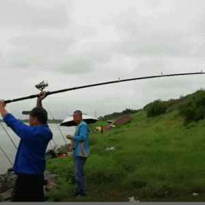 搞笑gif: 有这么萌的两个学员, 教练表示也很无奈