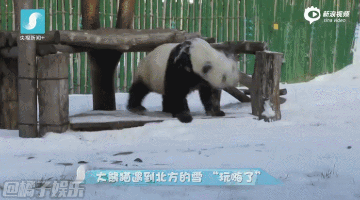 【gif】