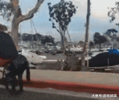 搞笑gif: 上班高峰期真的是太堵了! - 360娱乐,你开心