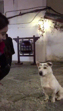 搞笑gif图:上学时候要是有这样的老师,我还会逃课吗?