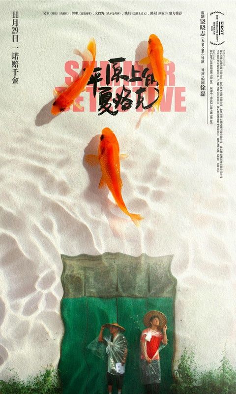 “惊喜之作”《平原上的夏洛克》：细腻诠释“乡村浪漫”