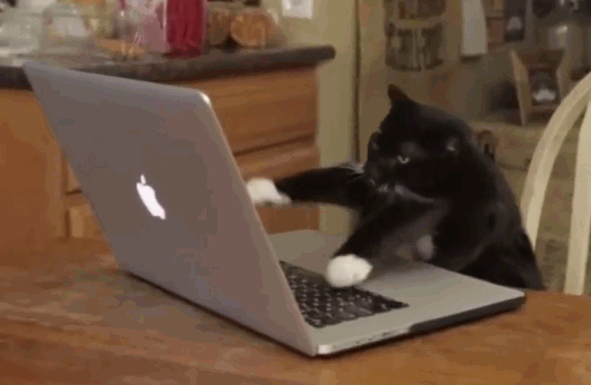 532_346gif 动态图 动图