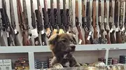 搞笑GIF：大哥，我猜……您儿子是生闺女的时候医院送的吧？