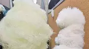搞笑GIF：媳妇做的饼，不知道怎么下口！