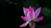 必看！人与人拉开差距的关键，真的是活出自己吗？