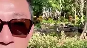 汪小菲说现在贼开心，求别再喷，网友问：放下屠刀就能立地成佛？