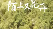 不会演农民别乱演！看杨幂《生万物》，才懂啥是“真穷人” 