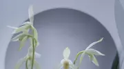 年轻人想躺平？学会爱自己才是开启终身浪漫的正确姿势？