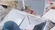 罗翔：张三侮辱骨灰到底犯不犯法？法律人为何这么“抠字眼”？