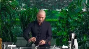 邹兆龙：洪金宝首席大弟子，号称“最强反派”，因爱国拒绝好莱坞