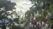 高以翔女友大婚林建岳女儿当伴娘，新郎成长履历被指和高以翔相似