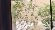 43岁的胡歌和老婆上海看房，黄曦宁素颜很自信