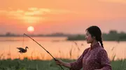 霞光熔冶菱荡，菱娘叉角满篾篓，野凫钻苇菱钩挂#夏日养生局