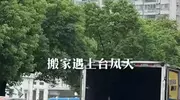 王栎鑫前妻搬离上海！为省钱去杭州，台风天搬家太让人心疼