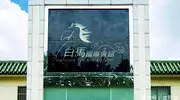 已婚富婆给28岁男模送豪车：白马会所的疯狂消费，最终栽在朋友圈
