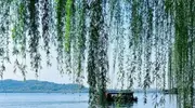 “南京照相馆”上映，舆论场上助力中国未来对日本博弈作用巨大！