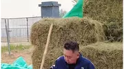 德云社于谦主动揭秘，马场占地60亩有100匹马，最大梦想当饲养员