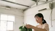 热风蚕室，村姑喂叶，桑沙簌簌茧动抽丝#夏日养生局